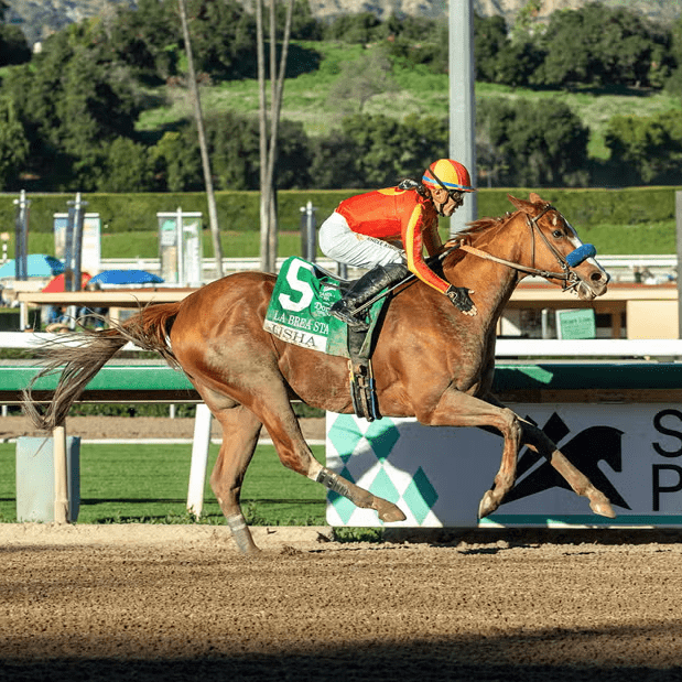 Bob Baffert Trainee Usha Faces Seven Rivals In Winning Colors Stakes