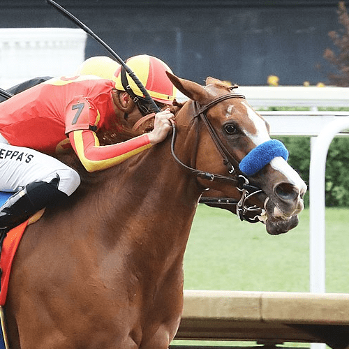 Usha Holds On to Take Winning Colors