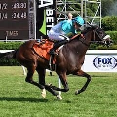 Cosmic Candy Girl wires field in Suzie O’Cain