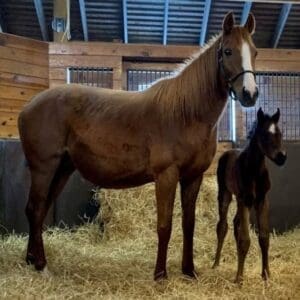 Thirty Year Farm a labor of love for the Esler family