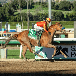 ‘Today She Showed Up’: Usha Dazzles In La Brea