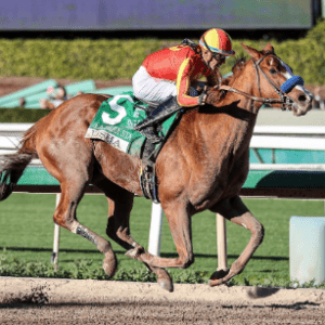 Tiz The Law’s Usha Dazzles In La Brea