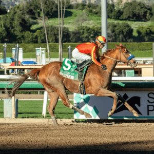 Bob Baffert Trainee Usha Faces Seven Rivals In Winning Colors Stakes